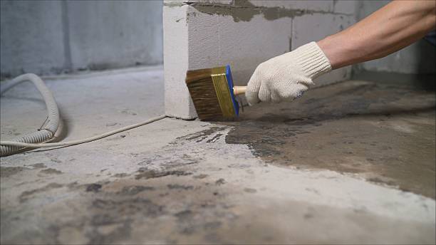 SJ Waterproofing Pros Waterproofing coverage map for Coker, AL and surrounding area